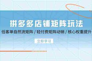 拼多多店铺矩阵玩法：低客单自然流矩阵 / 轻付费矩阵 动销 / 核心权重提升