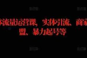 实体流量运营课，实体引流、商家加盟、暴力起号等