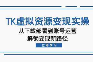 TK虚拟资源变现实操：从下载部署到账号运营，解锁变现新路径