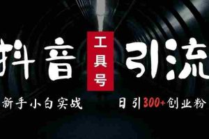 2024最新抖音工具号引流玩法，高效日引300+创业粉，当天变现5k，小白也可成为实战高手
