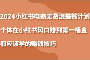 2024小红书电商无货源搞钱计划，个体在小红书风口赚到第一桶金应该学的赚钱技巧