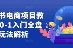 小红书电商项目教程，0-1入门全盘玩法解析