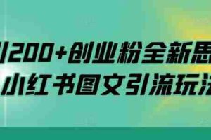 日引200+创业粉全新思路，小红书图文引流玩法【揭秘】