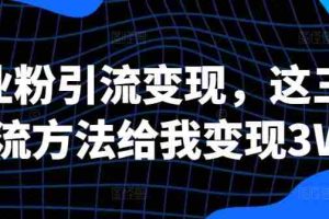 创业粉引流变现，这三种引流方法给我变现3W+【揭秘】