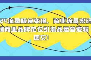 2024流量吸金变现，商业流量密码营销商业品牌定位引流品运营逻辑(图文)