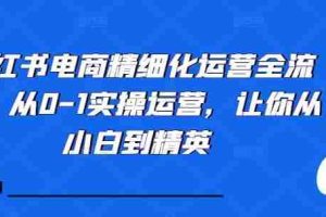 小红书电商精细化运营全流程，从0-1实操运营，让你从小白到精英
