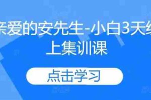亲爱的安先生-小白3天线上集训课