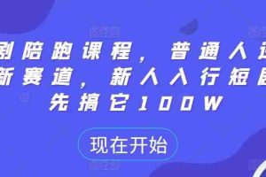 短剧陪跑课程，普通人逆袭的新赛道，新人入行短剧，先搞它100W