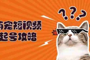 萌宠短视频起号攻略：定位搭建推流全解析，助力新手轻松打造爆款