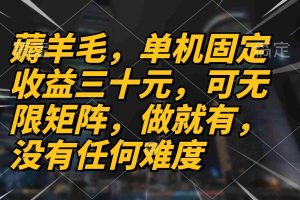 （13162期）薅羊毛项目，单机三十元，做就有，可无限矩阵 无任何难度