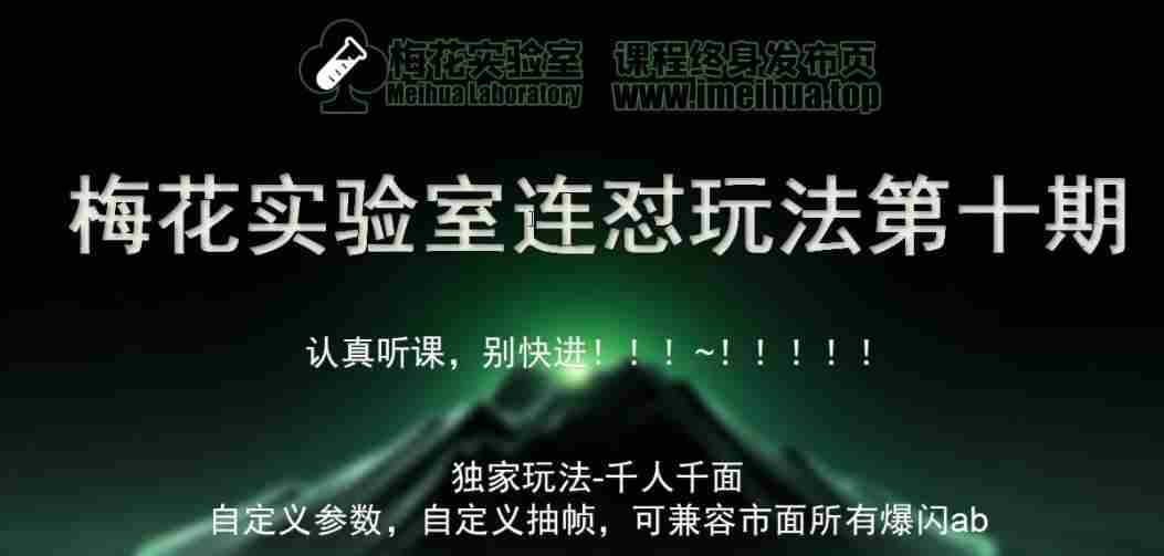 梅花实验室社群专享课视频号连怼玩法第十期课程+第二部分-FF助手全新高自由万能爆闪AB处理