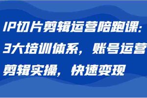IP切片剪辑运营陪跑课，3大培训体系：账号运营 剪辑实操 快速变现