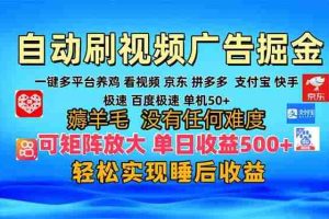 （13223期）多平台 自动看视频 广告掘金，当天变现，收益300+，可矩阵放大操作