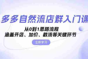 多多自然流店群入门课，从0到1思路流程，涵盖开店、加价、截流等关键环节