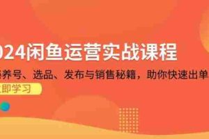 （13290期）2024闲鱼运营实战课程：揭秘养号、选品、发布与销售秘籍，助你快速出单