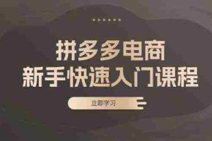 拼多多电商新手快速入门课程：涵盖基础、实战与选款，助力小白轻松上手