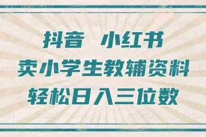 抖音小红书卖小学生教辅资料，操作简单，小白也能轻松上手，一个月利润1W+