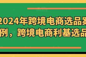 2024年跨境电商选品案例，跨境电商利基选品（更新11月）