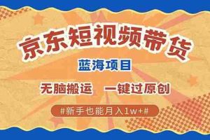 （13349期）最新京东短视频蓝海带货项目，无需剪辑无脑搬运，一键过原创，有手就能…