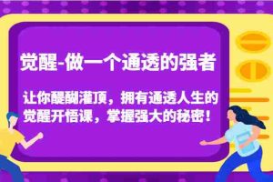 认知觉醒，让你醍醐灌顶拥有通透人生，掌握强大的秘密！觉醒开悟课（更新）