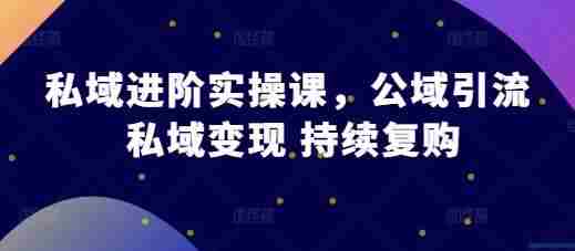 私域进阶实操课，公域引流 私域变现 持续复购