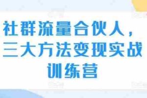 社群流量合伙人，三大方法变现实战训练营
