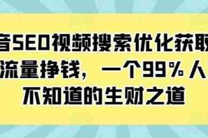 抖音SEO视频搜索优化获取免费流量挣钱，一个99%人还不知道的生财之道