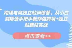 跨境电商独立站训练营，从小白到精通手把手教你做跨境+独立站建站实战