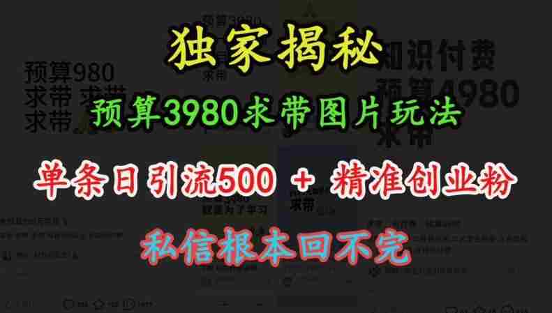 预算3980求带 图片玩法，单条日引流500+精准创业粉，私信根本回不完