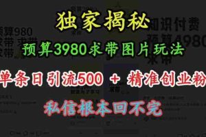 预算3980求带 图片玩法，单条日引流500+精准创业粉，私信根本回不完