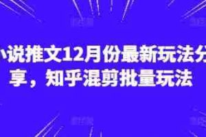 小说推文12月份最新玩法分享，知乎混剪批量玩法