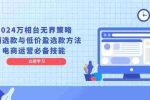 2024万相台无界策略，店铺选款与低价盈选款方法，电商运营必备技能