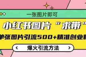 小红书图片‘求带’爆火引流法，单张图片引流500+精准创业粉【揭秘】