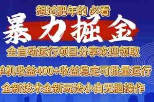 （13675期）2025暴力掘金项目，想过肥年必看！
