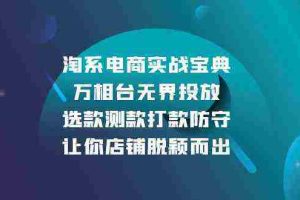 淘系电商实战宝典：万相台无界投放，选款测款打款防守，让你店铺脱颖而出