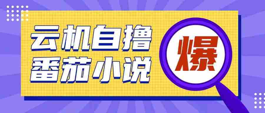 首发云手机自撸小说玩法，10块钱成本可撸200+收益操作简单【揭秘】