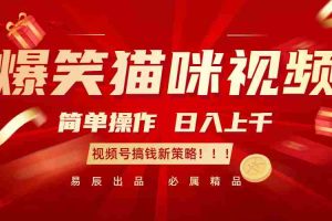 爆笑猫咪视频：简单操作，日入过千，视频号搞钱新策略！