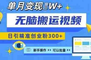 无脑搬运视频号可批量复制，新手即可操作，日引精准创业粉300+，月变现过W 【揭秘】