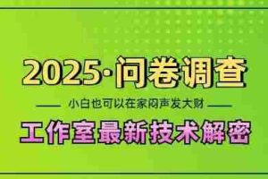 2025问卷调查最新工作室技术解密：一个人在家也可以闷声发大财，小白一天2张，可矩阵放大【揭秘】