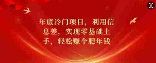 年底冷门项目，利用信息差，实现零基础上手，轻松赚个肥年钱【揭秘】