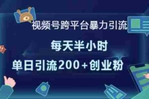 视频号跨平台暴力引流，每天半小时，单日引流200+精准创业粉