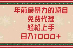（13773期）年前最暴力的项目，免费代理，轻松上手，日入1000+