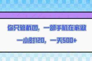 （13785期）你只管截图，一部手机在家做，一小时120，一天500+