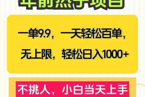 （13795期）一单9.9，一天百单无上限，不挑人，小白当天上手，轻松日入1000+