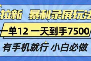 （13836期）拉新暴利录屏玩法，一单12块，一天到手7500，有手机就行