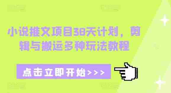 小说推文项目38天计划，剪辑与搬运多种玩法教程