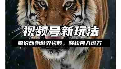 利用动物世界解说视频，赚分成计划收益，轻松月入过W，操作简单【揭秘】