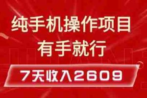 纯手机操作的小项目，有手就能做，7天收入2609+实操教程【揭秘】