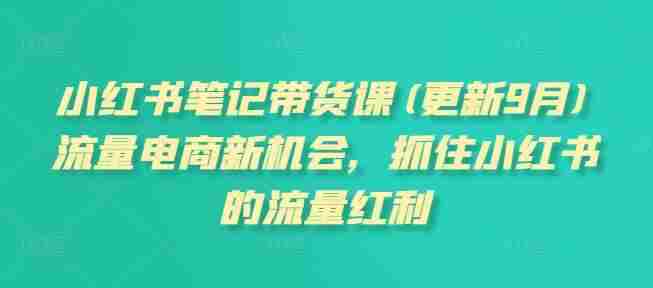 小红书笔记带货课(更新12月)流量电商新机会，抓住小红书的流量红利