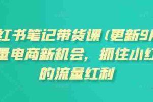 小红书笔记带货课(更新12月)流量电商新机会，抓住小红书的流量红利